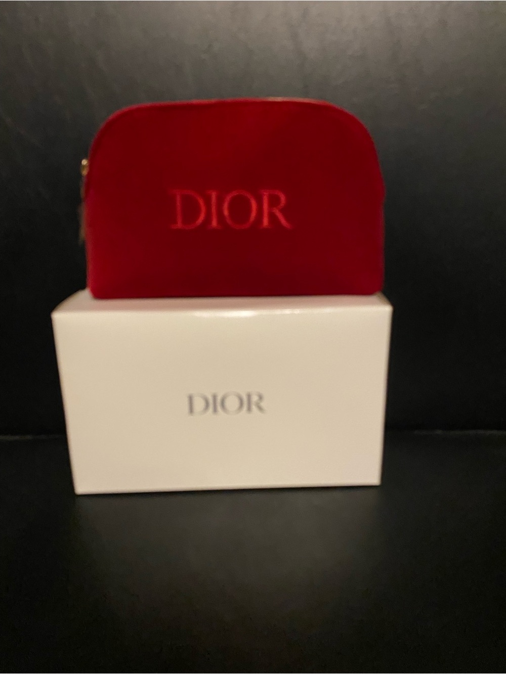 Dior Red Velvet Zip Pouch